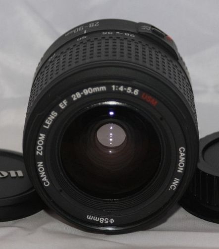 IMAGE: http://i2.photobucket.com/albums/y17/msowsun/photo%20stuff/Photo9/001xx.jpg