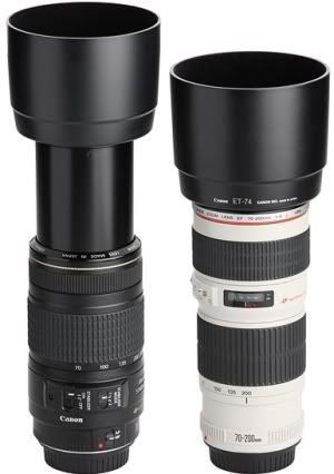 IMAGE: http://i2.photobucket.com/albums/y17/msowsun/photo%20stuff/Telephoto-Zoom-Lens-Comparison-6.jpg