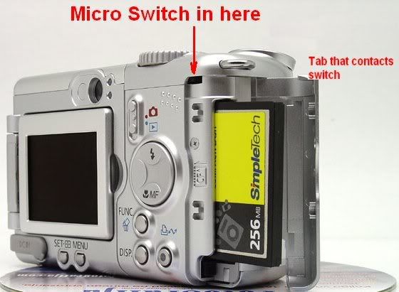 IMAGE: http://i2.photobucket.com/albums/y17/msowsun/photo%20stuff/a95a.jpg