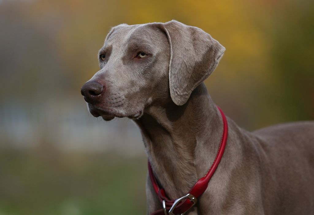 IMAGE: http://i2.photobucket.com/albums/y17/msowsun/photo%20stuff/photo16/5D3_0588_1024.jpg