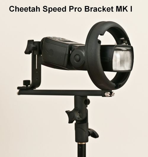 IMAGE: http://i2.photobucket.com/albums/y17/msowsun/photo%20stuff/photo16/_001CheetahI.jpg