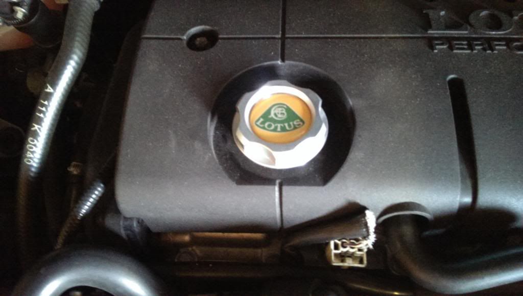 IMAG0249_zps1tyu588c.jpg