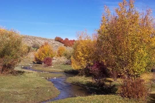 Hosted by Photobucket.com