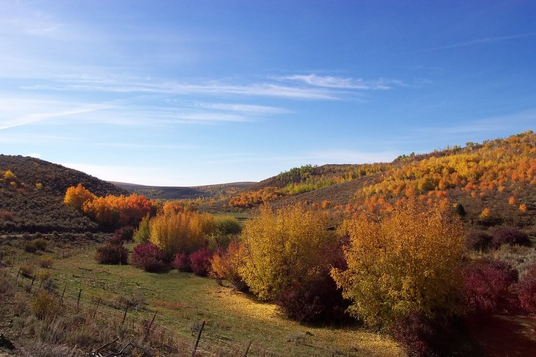 Hosted by Photobucket.com