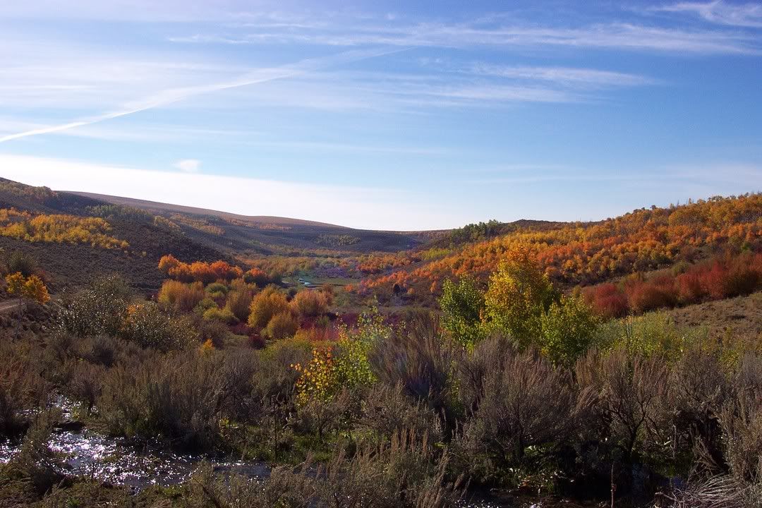 Hosted by Photobucket.com