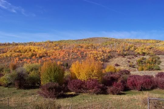 Hosted by Photobucket.com