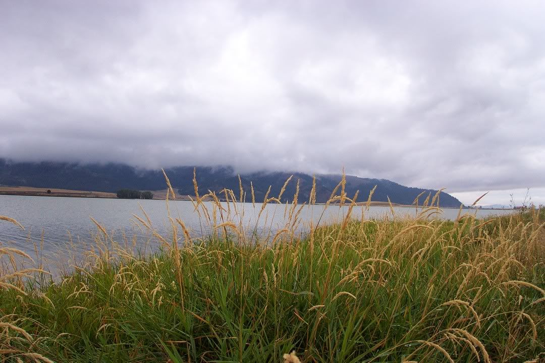 Hosted by Photobucket.com