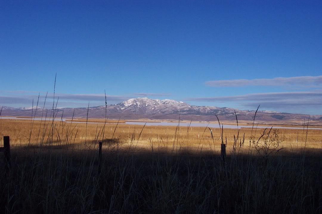 Hosted by Photobucket.com