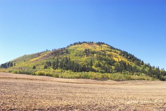 Hosted by Photobucket.com