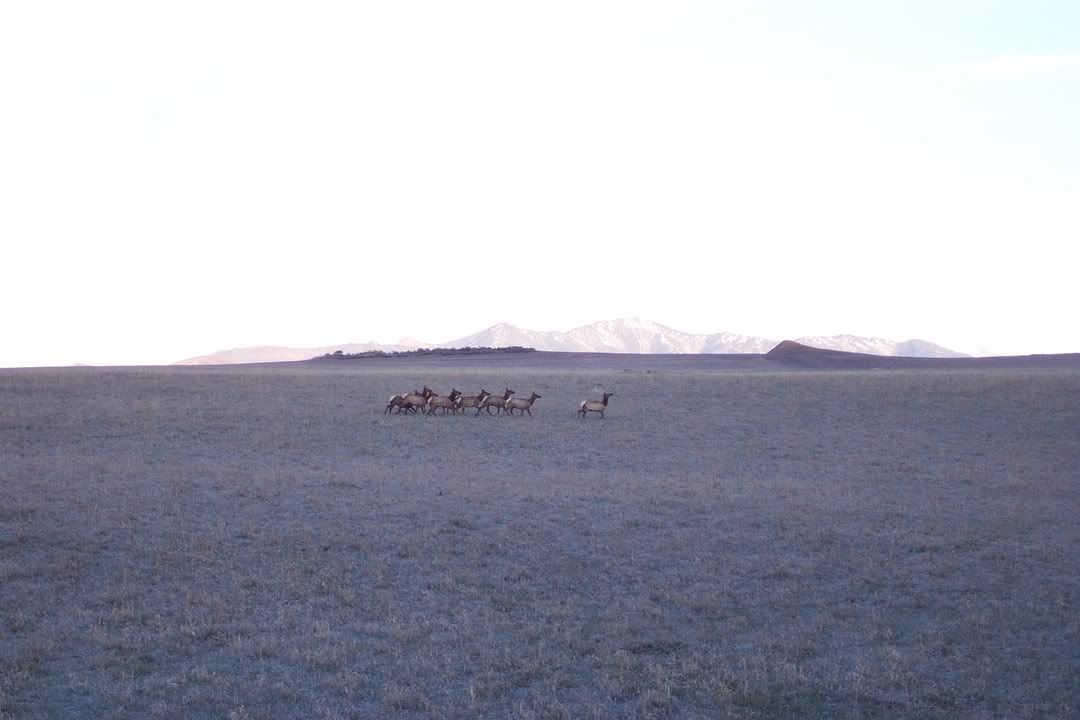 Hosted by Photobucket.com