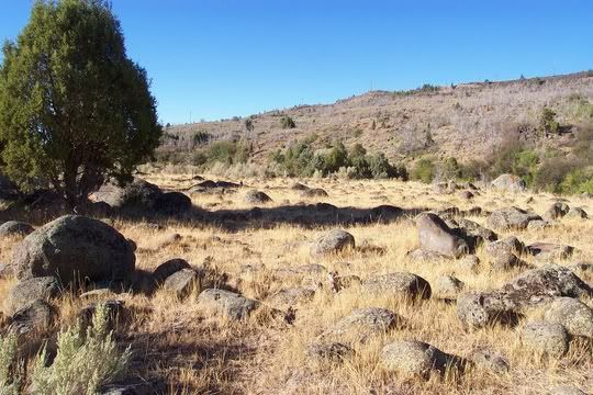 Hosted by Photobucket.com