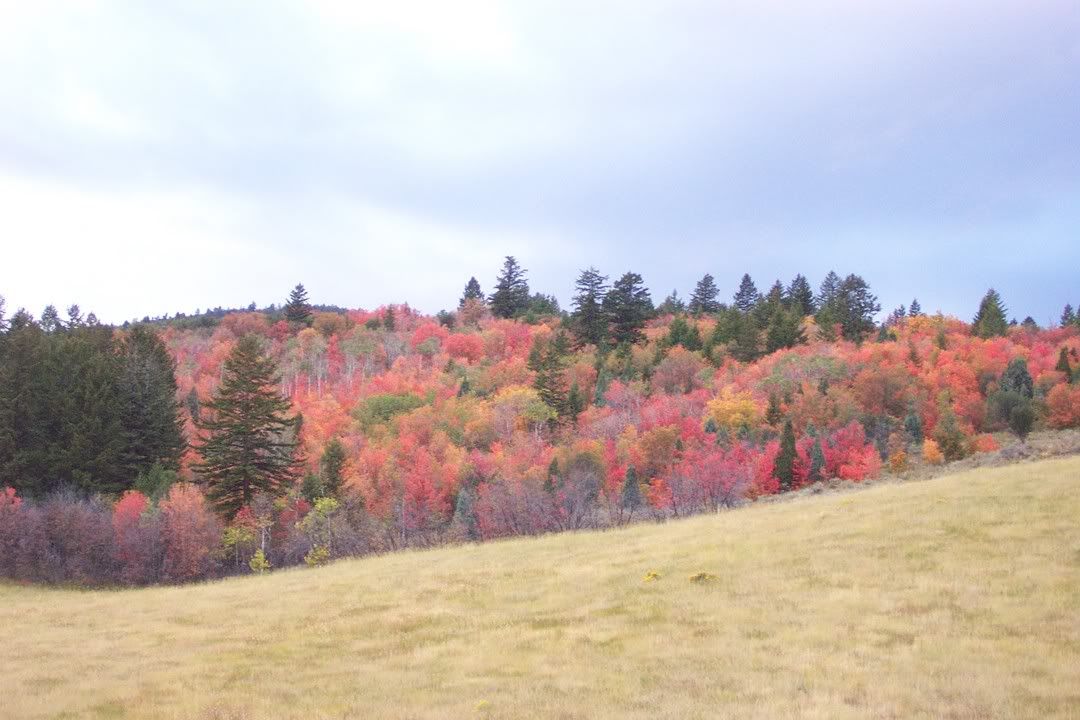 Hosted by Photobucket.com