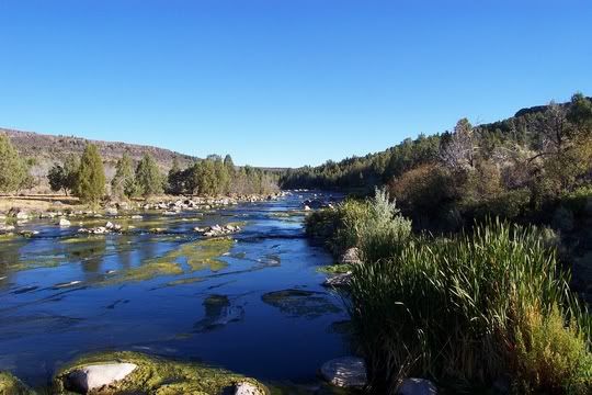 Hosted by Photobucket.com