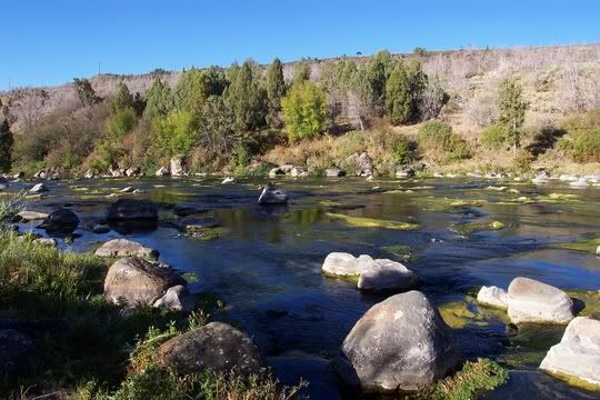 Hosted by Photobucket.com