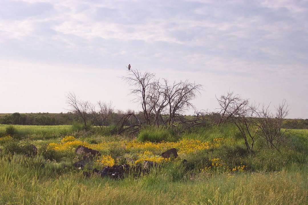 Hosted by Photobucket.com