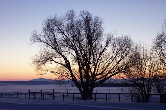 Hosted by Photobucket.com