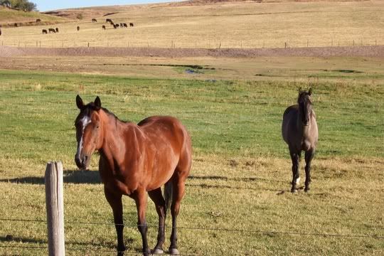 Hosted by Photobucket.com