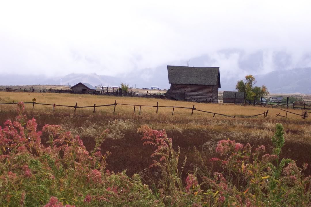 Hosted by Photobucket.com