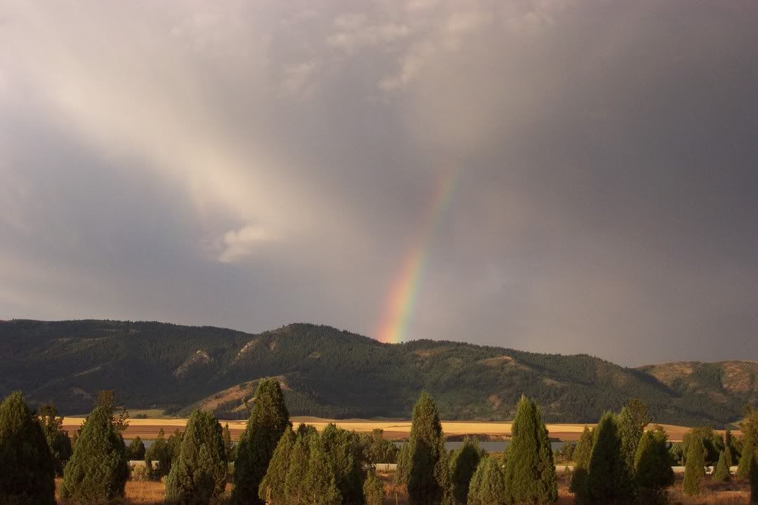 Hosted by Photobucket.com