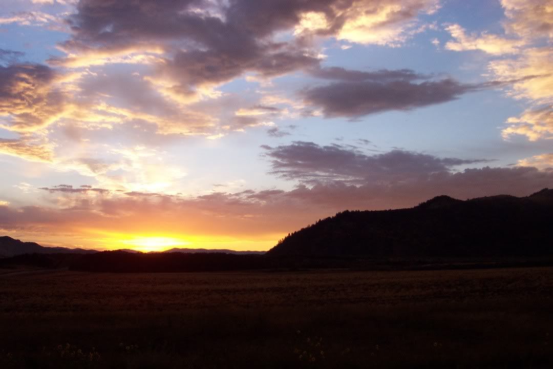 Hosted by Photobucket.com