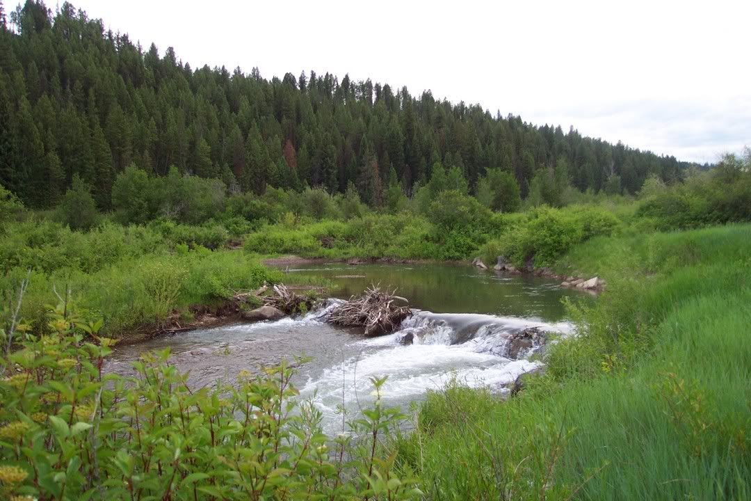 Hosted by Photobucket.com