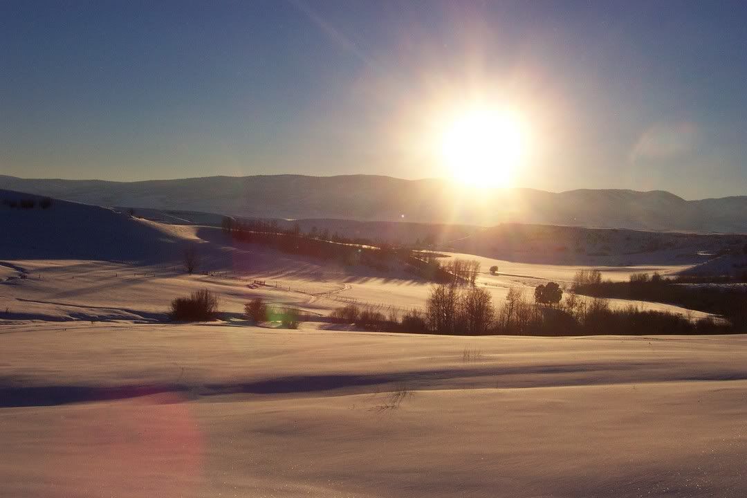 Hosted by Photobucket.com