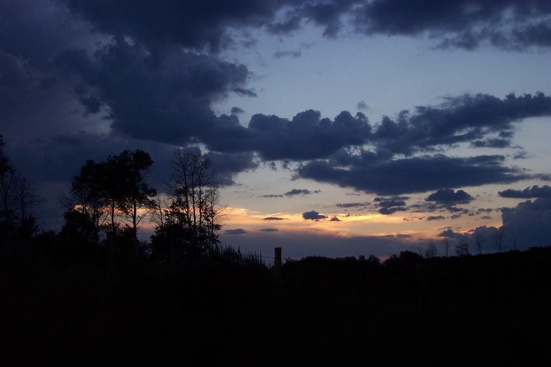 Hosted by Photobucket.com