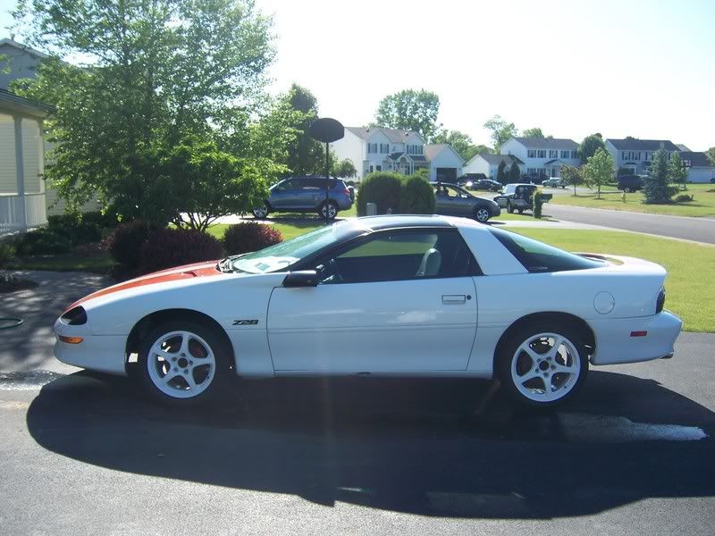 http://i2.photobucket.com/albums/y18/fbodymadnezz/NewWheels018.jpg