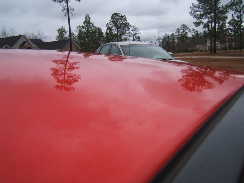 DSCF2089.jpg