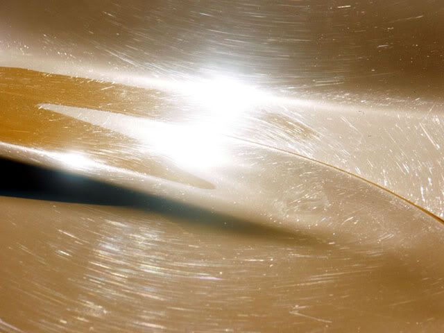 Lotuspredetail006.jpg