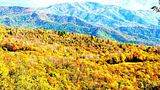 Copy2ofsmockies-09_038.jpg smocky mountain &amp; Blue ridge parkway image by bonsai_bhuynh