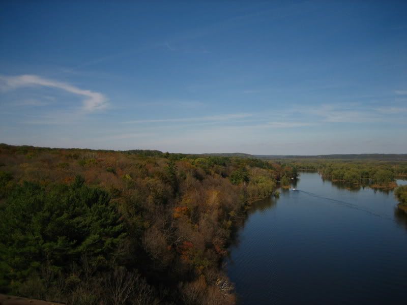 IMAGE: http://i2.photobucket.com/albums/y19/stevezasycho/Steve/IMG_0873.jpg