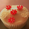 Cupcake Icons..~●,
