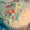 Cupcake Icons..~●,