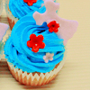 : Cupcake Icons..~●,