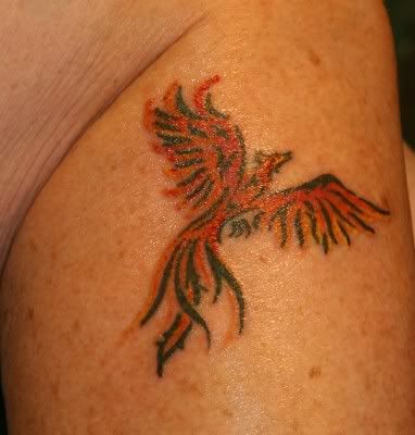 The Phoenix which my house mate insist looks like a dragon phoenix 