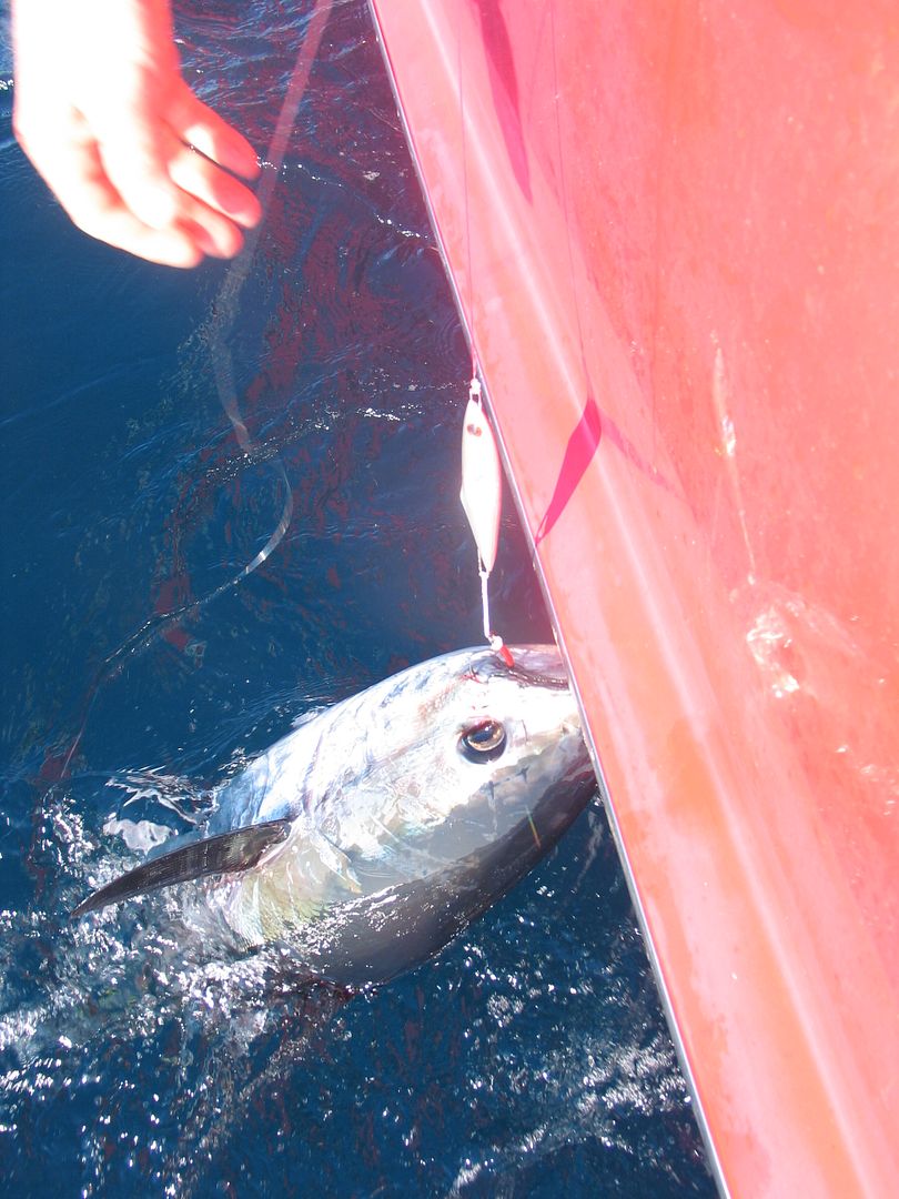 Fishing diamond jigs 360 Tuna Fishers Forum