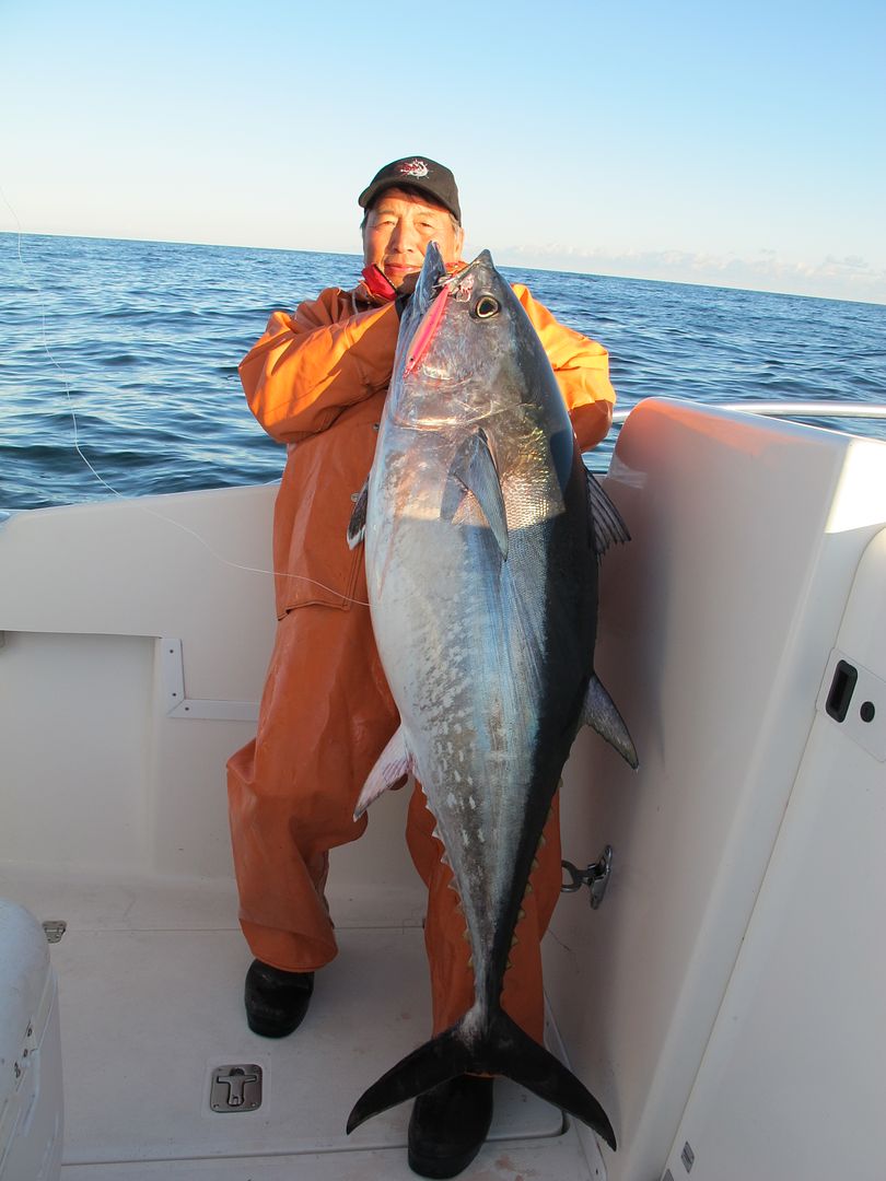 Tuna fishing report cape cod bay song
