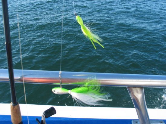 Why bucktail/jigs work for fluke ?