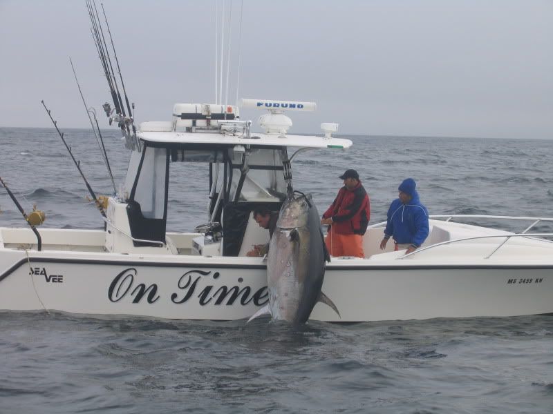 Best way to hoist a BIG tuna into a small boat?? Help. 360 Tuna