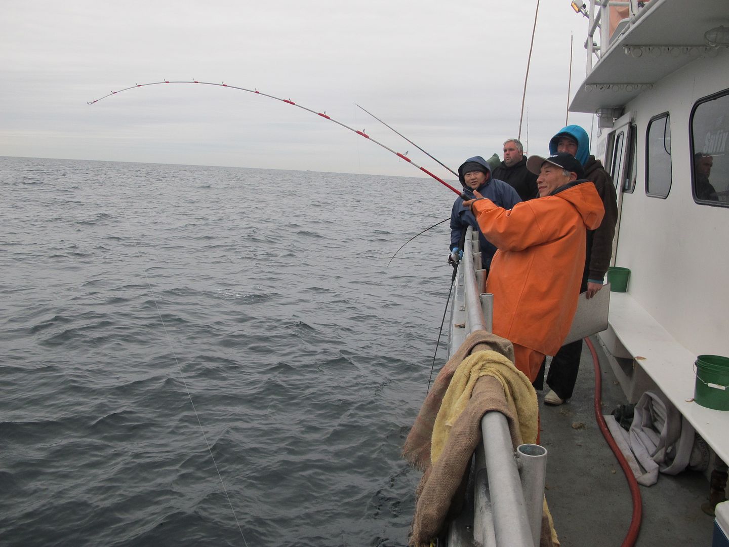 Blackfish Rods from Black Hole | BASS BARN