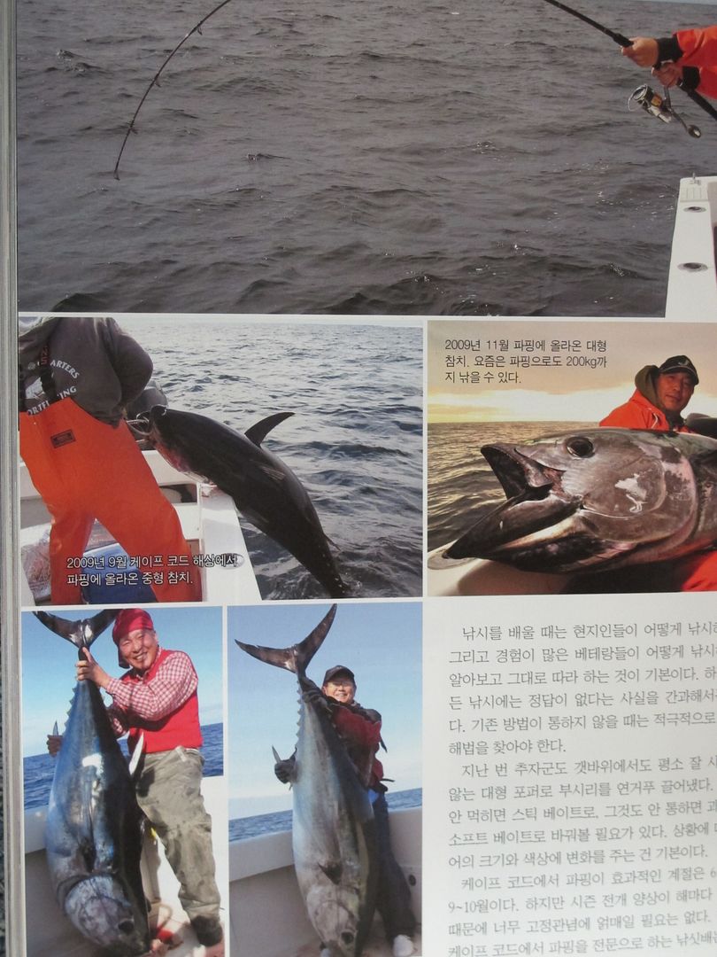 bluefin fishing in Cape Cod in a leading Korean fishing magazine in