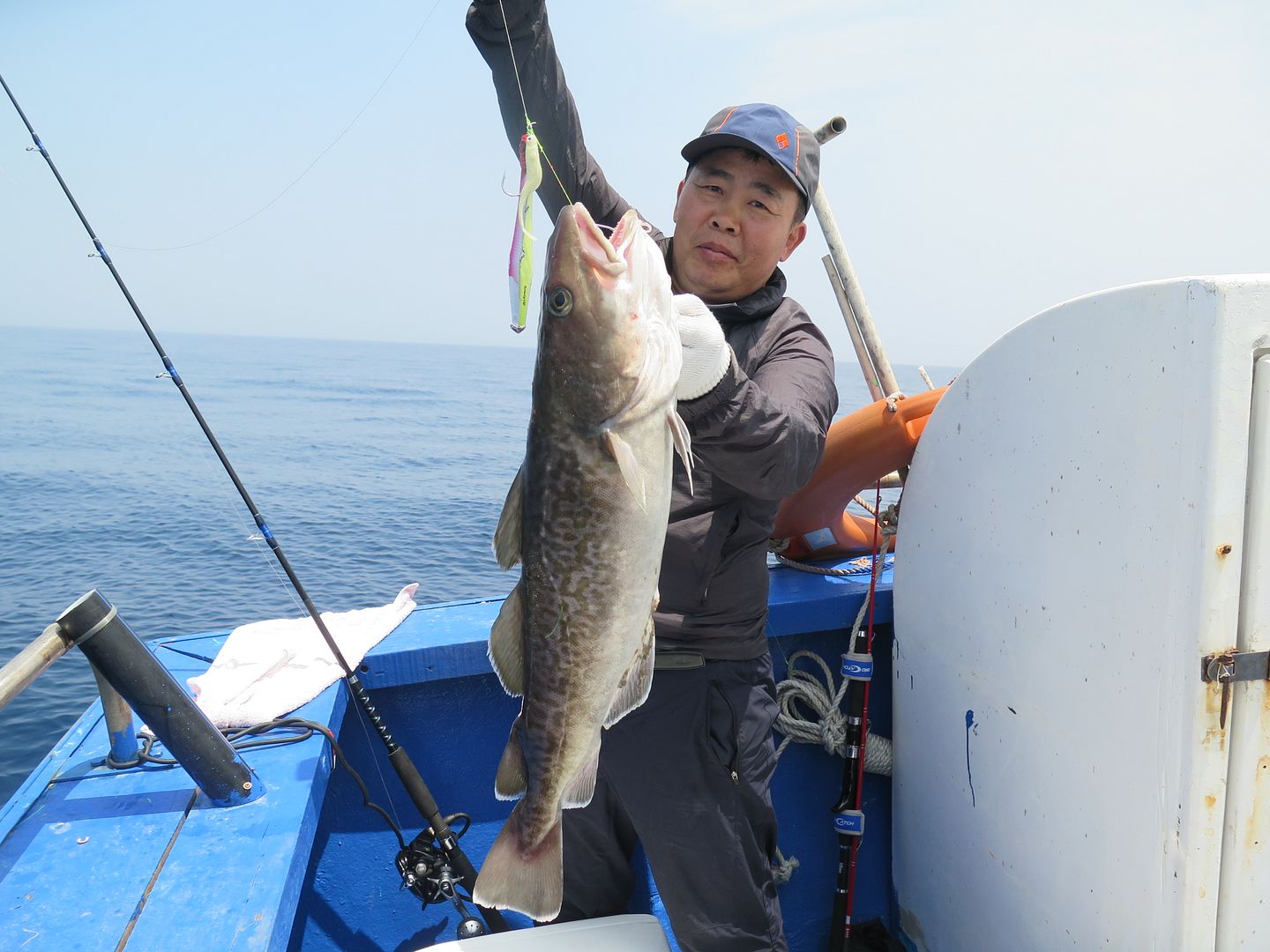 Cod jigging in Korea BASS BARN