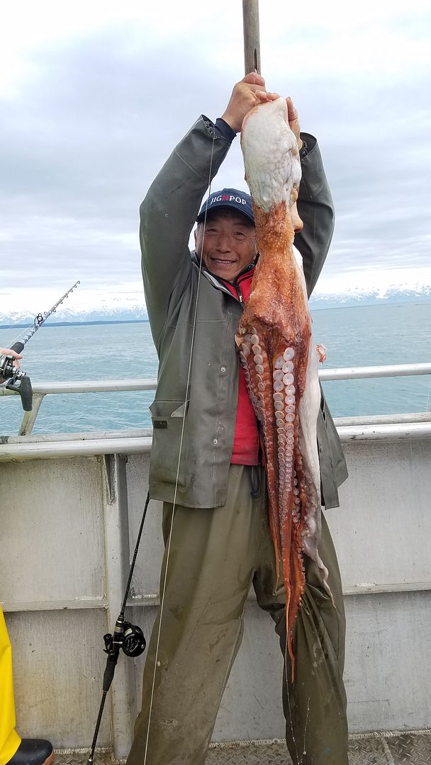 Slow Pitch jigging rods for halibut/ling cod Bloodydecks