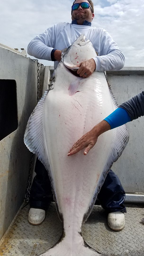 Slow Pitch jigging rods for halibut/ling cod Bloodydecks