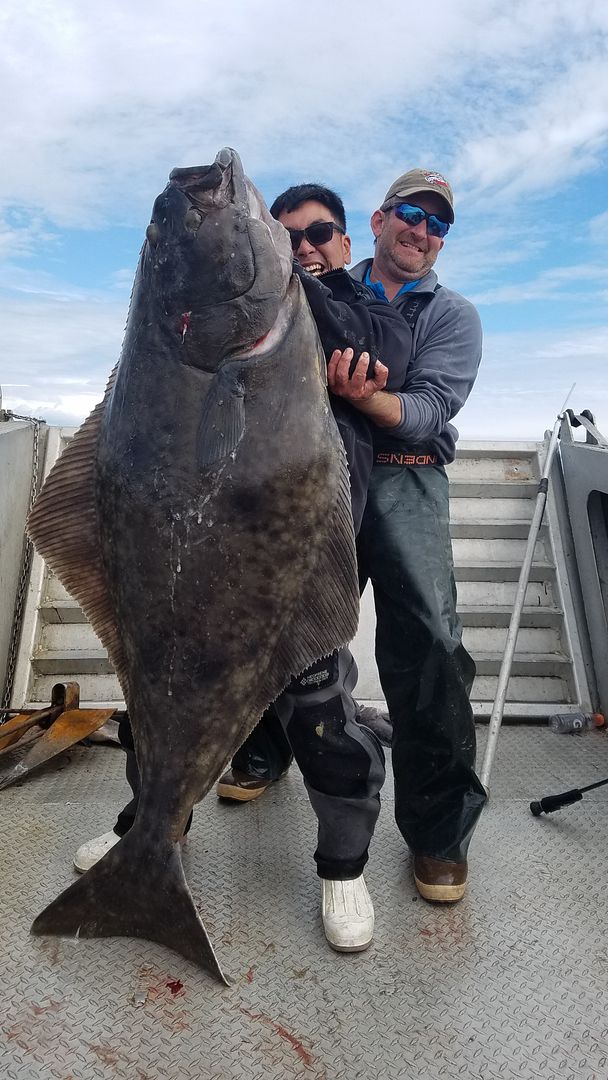 Slow Pitch jigging rods for halibut/ling cod Bloodydecks