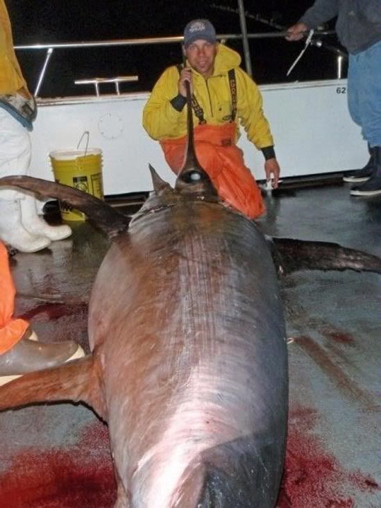 swordfish biggest boat ever laned