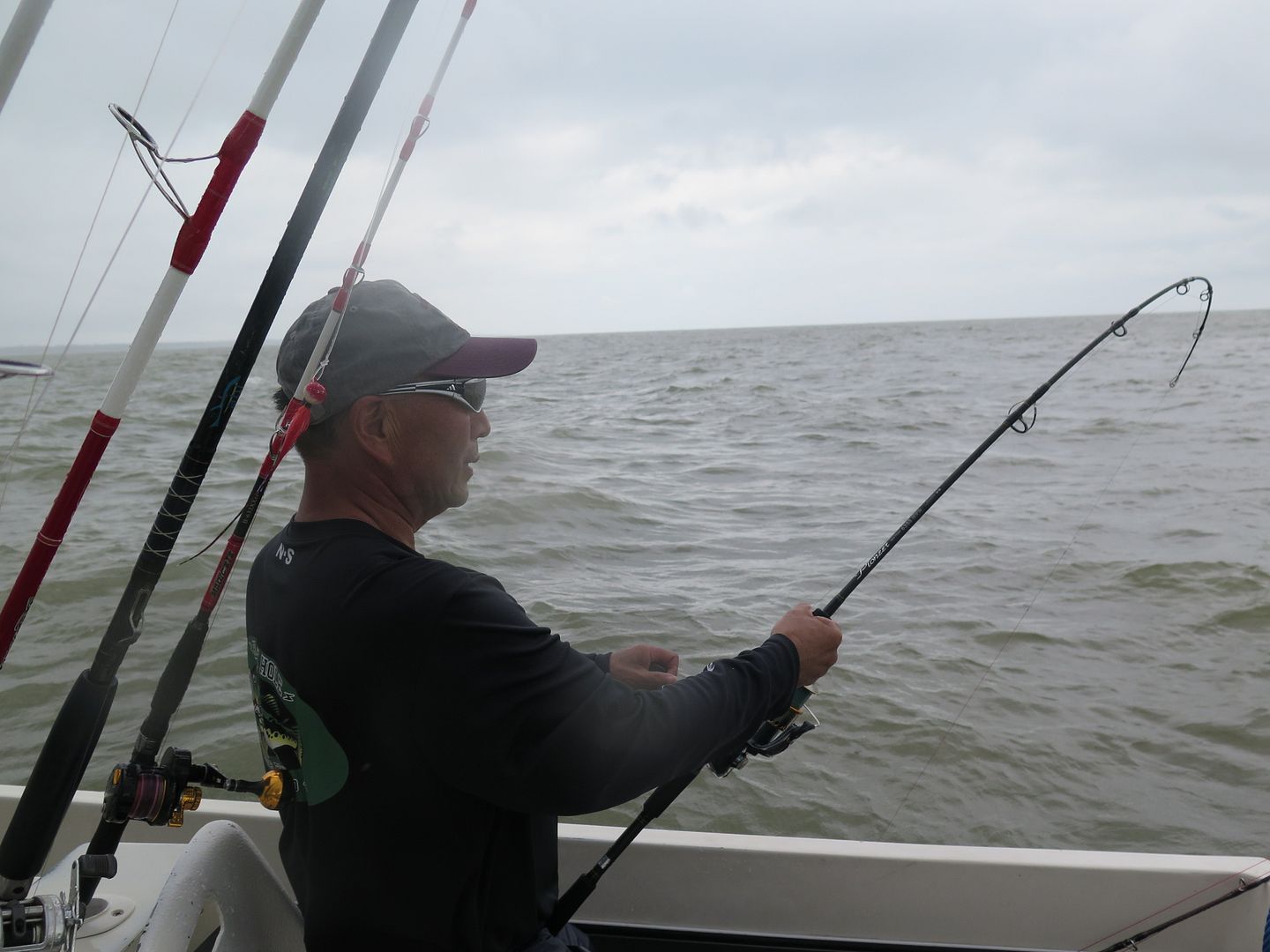 IMG_6448_zps818e42de.jpg