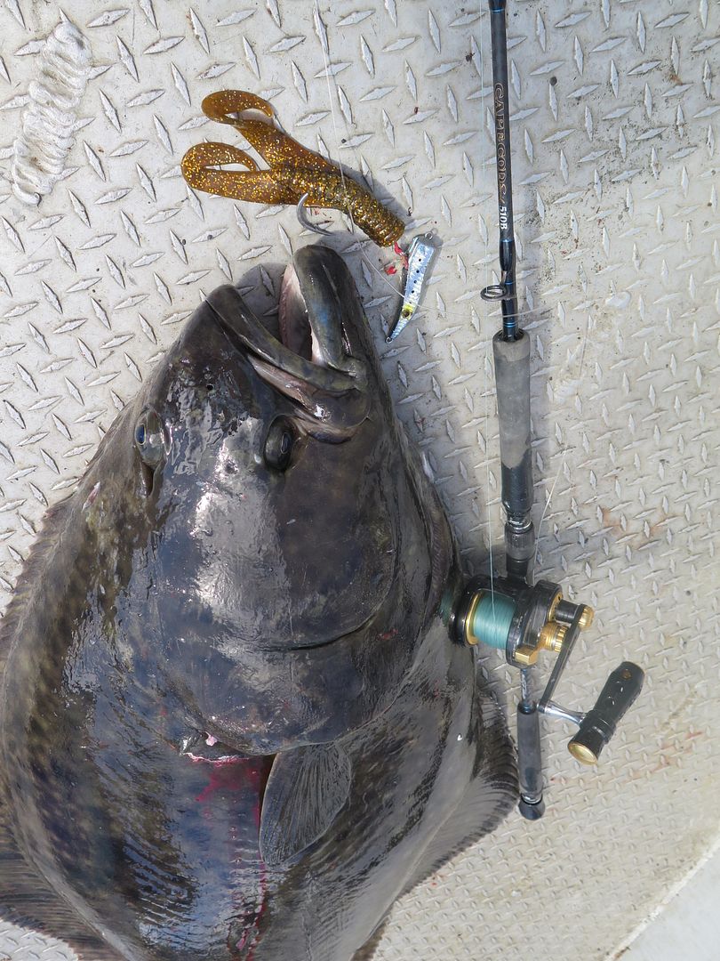 For the Halibut/Ling fisherman 11" Grubs if needed Bloodydecks