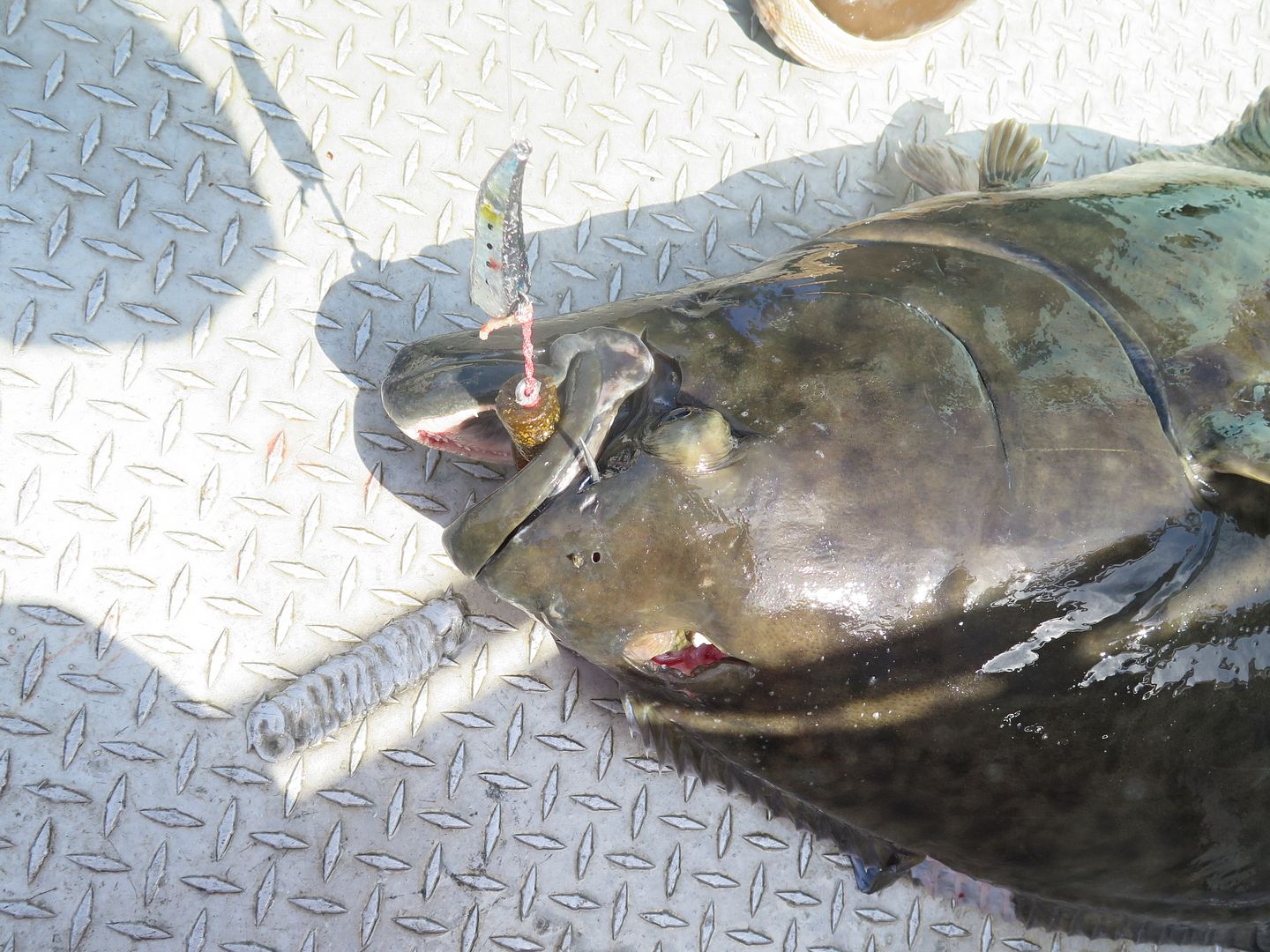 For the Halibut/Ling fisherman 11" Grubs if needed Bloodydecks